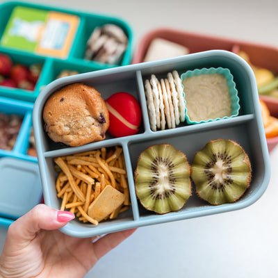 Adventure Snacks Silicone Bento Lunchbox 4 compartment