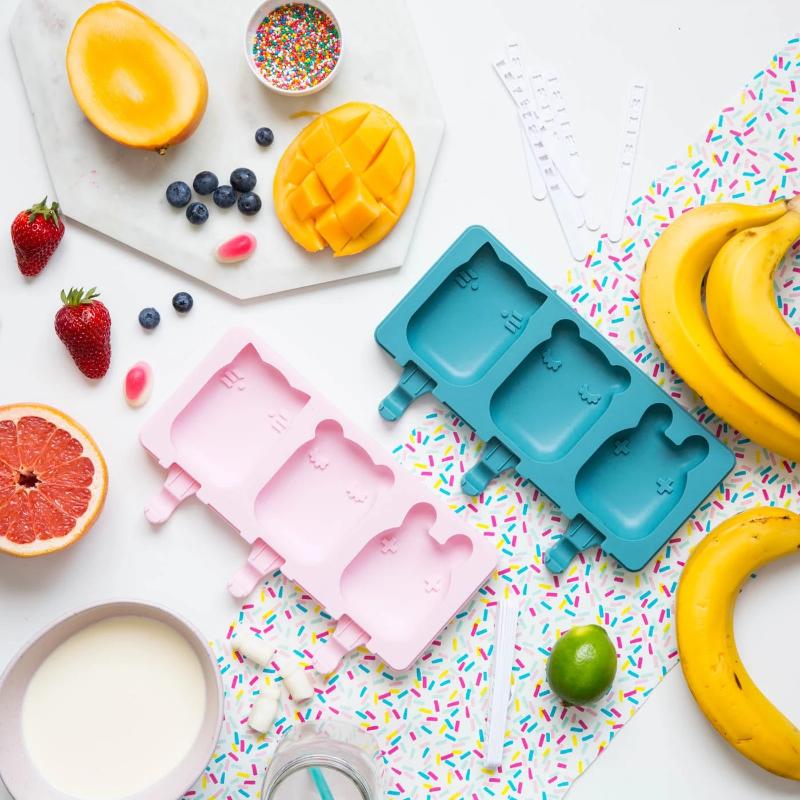 Reusable icy pole moulds hot sale