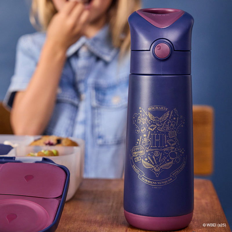Bbox insulated bottle- harry potter