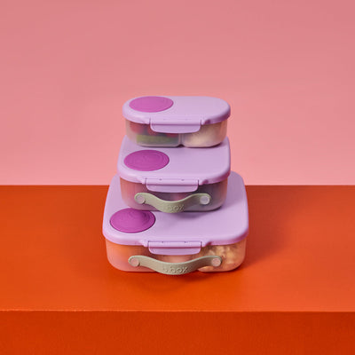 Bbox bundle- sugar plum
