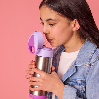 bbox 500ml insulated bottle- sugar plum