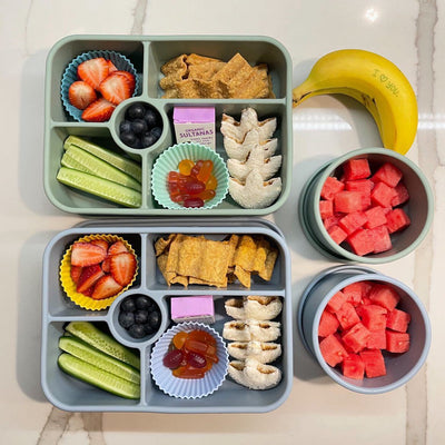 Adventure Snacks 5 compartment Silicone Bento Lunchbox