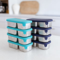 Adventure Snacks Stainless Steel Mini Snack Box - 8 Pack - Royal Blue & Jungle Green