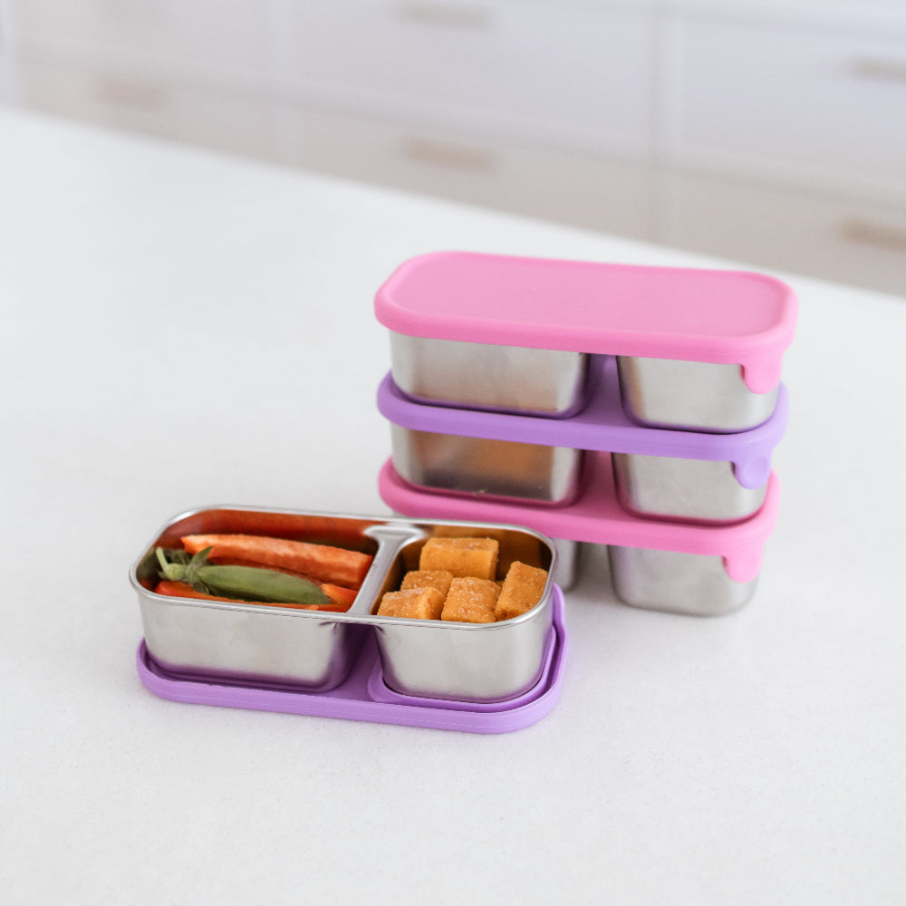 Adventure Snacks Stainless Steel Mini Snack Box - 4 Pack - Pink & Purp