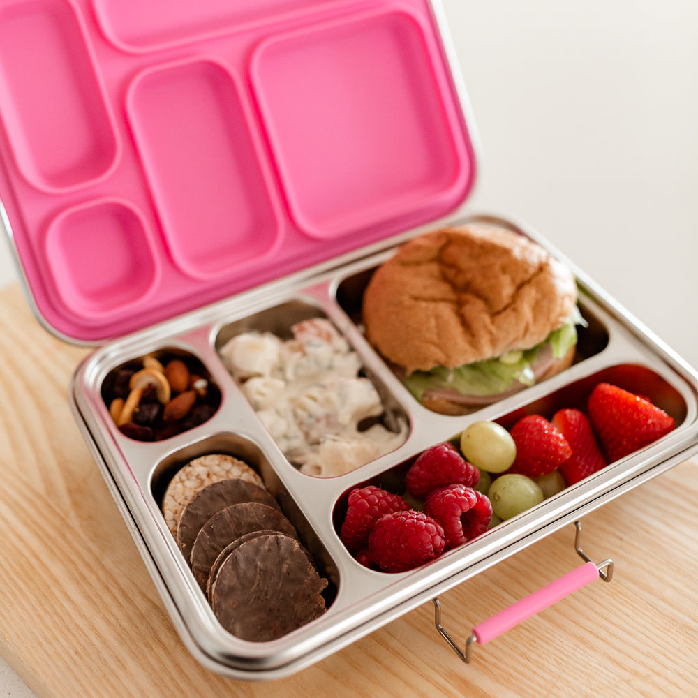 Adventure Snacks Stainless Steel Lunchbox