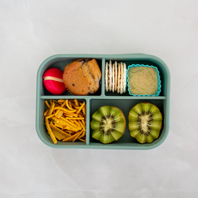 Adventure Snacks Silicone Bento Lunchbox 4 compartment- Sage Green