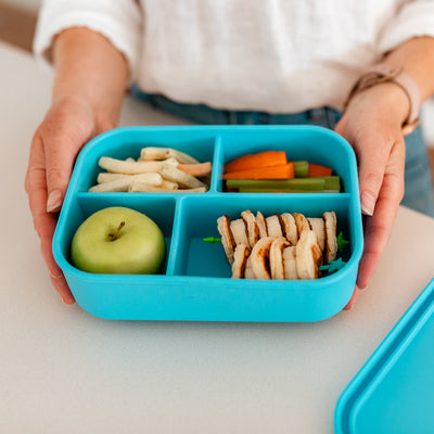 Adventure Snacks Silicone Bento Lunchbox - 4 Compartment