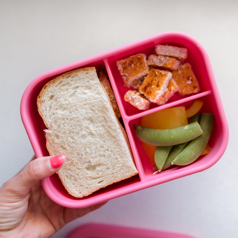 Adventure Snacks Silicone Bento Lunchbox 3 compartment