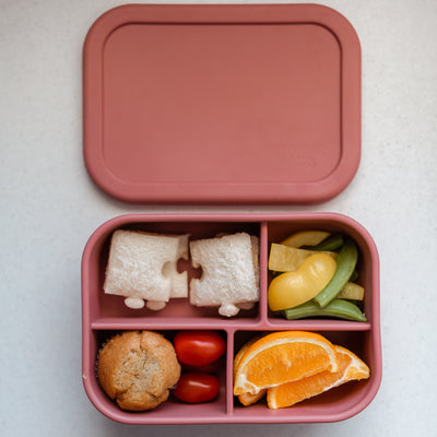 Adventure Snacks Silicone Bento Lunchbox 4 compartment