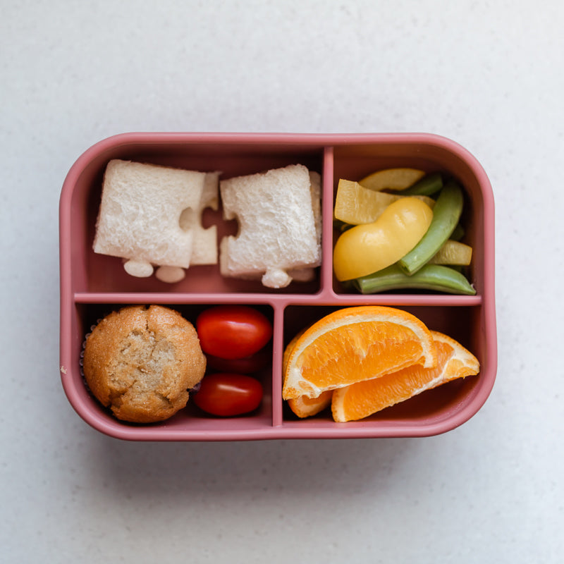 Adventure Snacks Silicone Bento Lunchbox 4 compartment