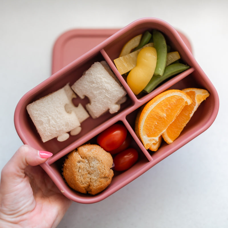 Adventure Snacks Silicone Bento Lunchbox 4 compartment