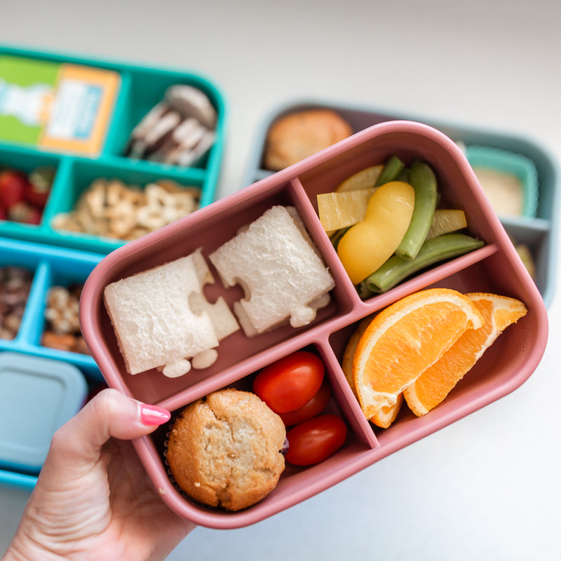 Adventure Snacks Silicone Bento Lunchbox 4 compartment