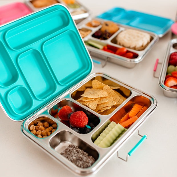 Adventure Snacks Stainless Steel Lunchbox