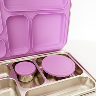 Adventure Snacks Stainless Steel Lunchbox
