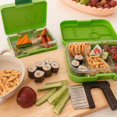 Kollab & Stainless Steel Bundle - Jurassic Fun