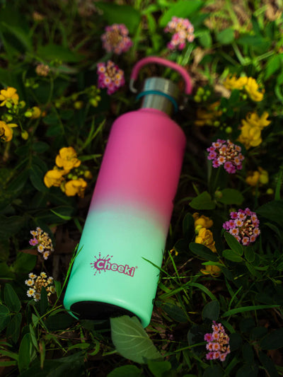Cheeki 600ml stainless steel bottle- watermelon
