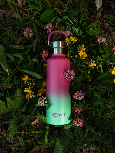 Cheeki 600ml stainless steel bottle- watermelon