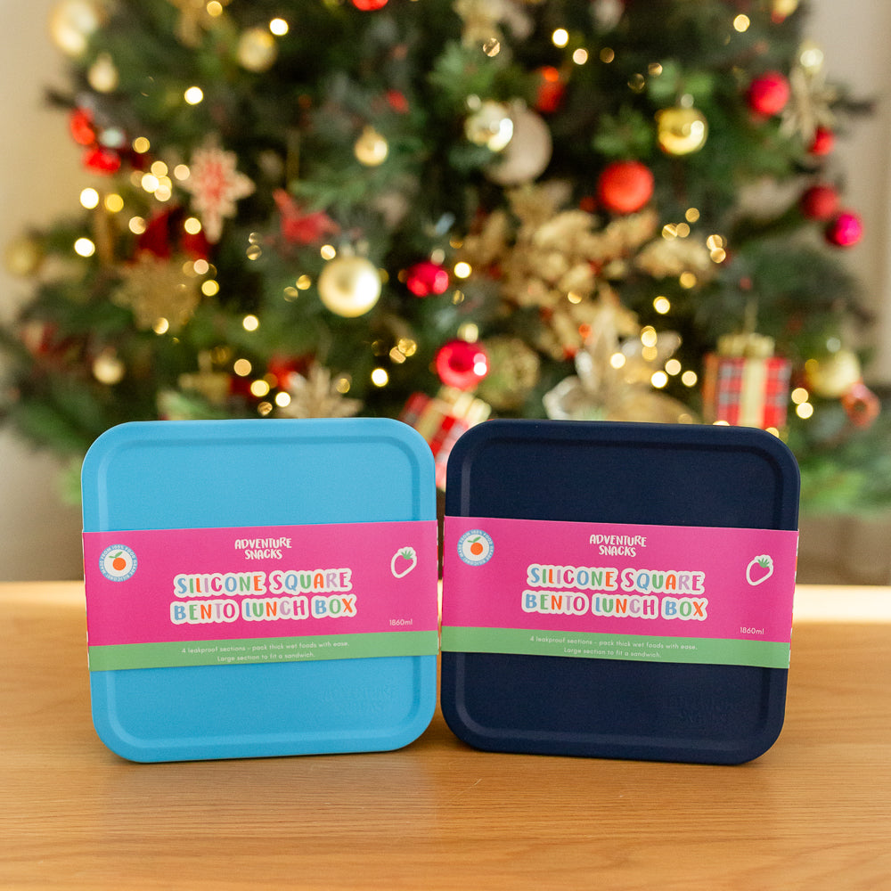 Adventure Snacks Silicone Square Large Duo Bundle - Royal Blue and Ocean Blue