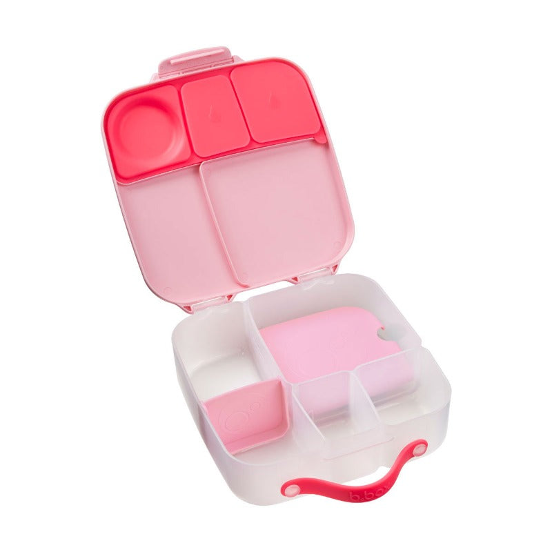 bbox flamingo fizz lunchbox