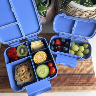 MontiiCo Bite Lunchbox-  splash