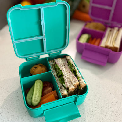 MontiiCo bite lunch box- mojito