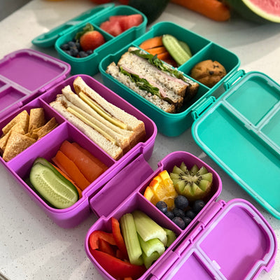 MontiiCo bite lunch box