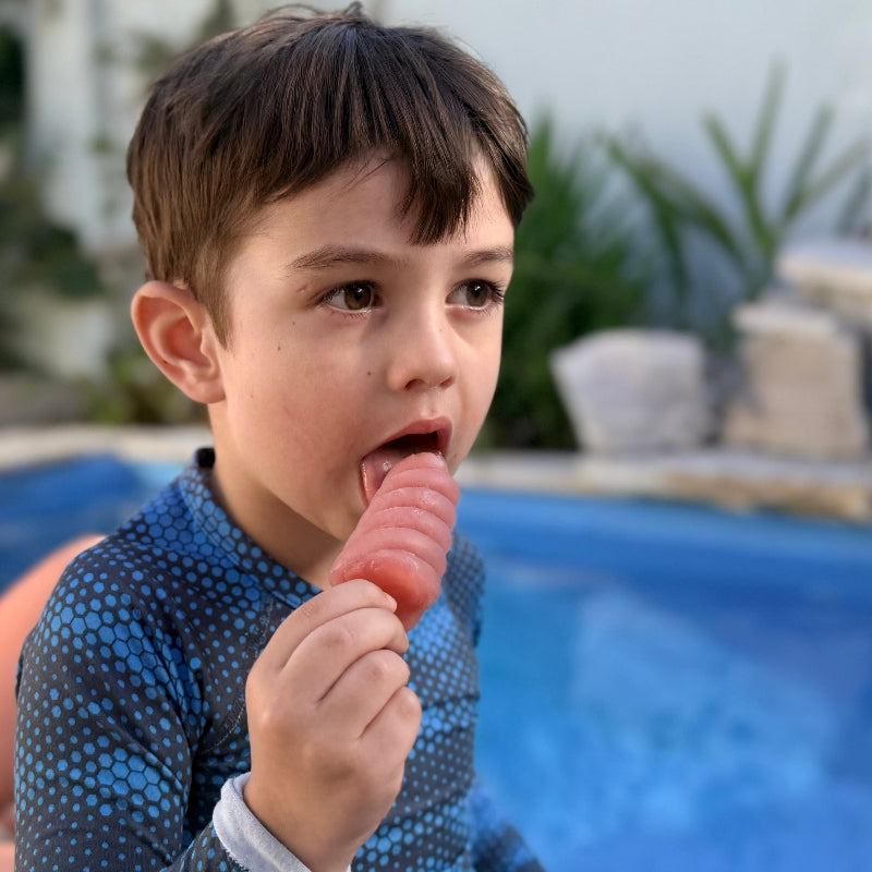 Adventure Snacks Twist Icy Pole Mould