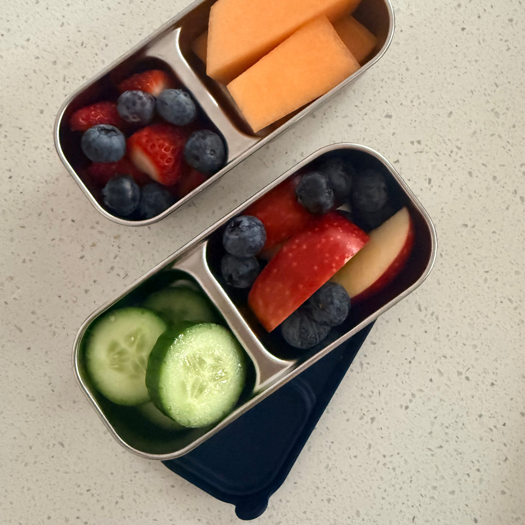 Adventure Snacks Stainless Steel Mini Snack Box