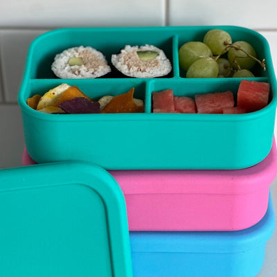 Adventure Snacks Silicone Bento Lunchbox 4 compartment