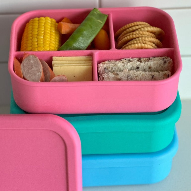 Adventure Snacks Silicone Bento Lunchbox 4 compartment