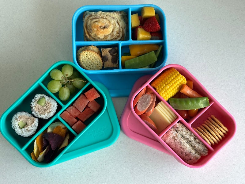 Adventure Snacks Silicone Bento Lunchbox 4 compartment