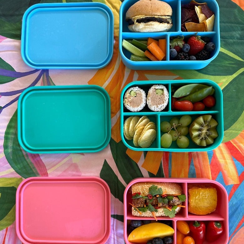 Adventure Snacks Silicone Bento Lunchbox 4 compartment