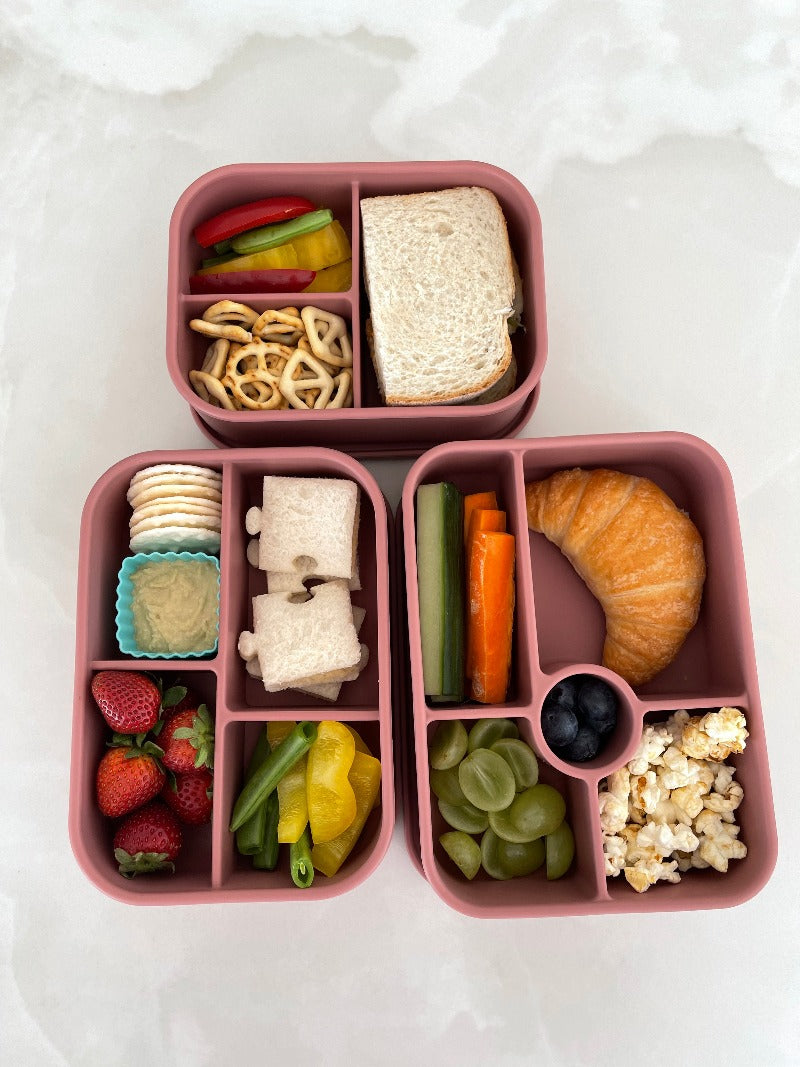 Adventure Snacks 5 compartment Silicone Bento Lunchbox