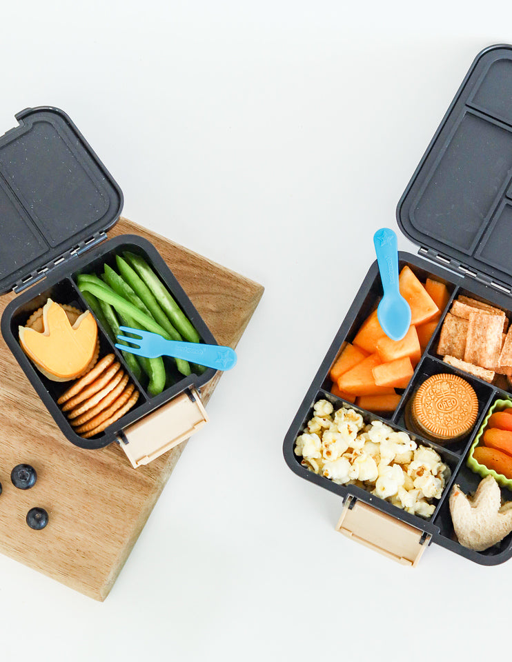 Lunch Punch Accessories Bundle - Burst