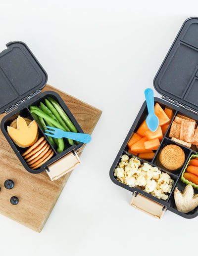 Lunch Punch Accessories Bundle - Burst