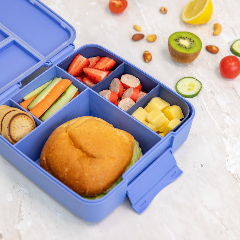 MontiiCo Feast Bundle - Splash