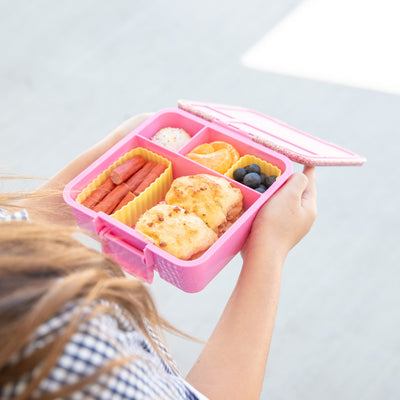 MontiiCo Bento Cups- sunbeam