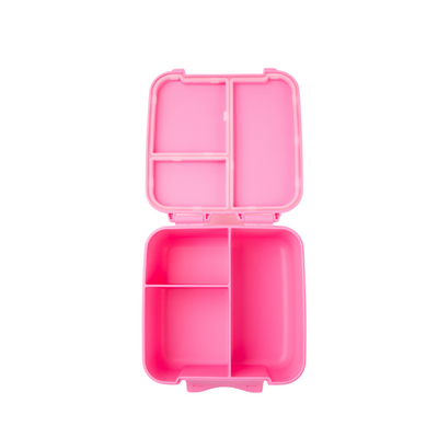 MontiiCo Bite Lunchbox- floss
