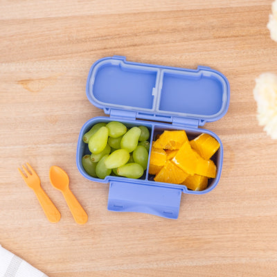 MontiiCo Snack Box- splash