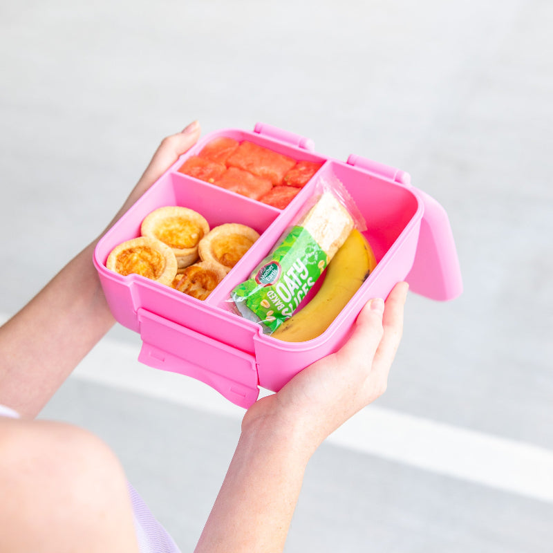 MontiiCo Bite Lunchbox- floss
