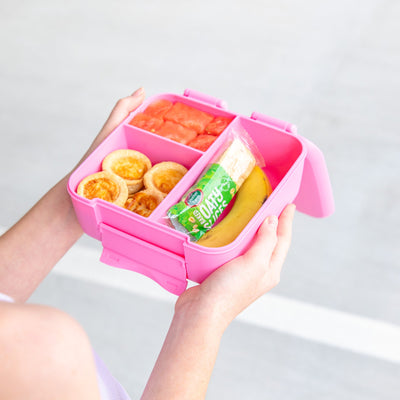 MontiiCo Bite Lunchbox- floss