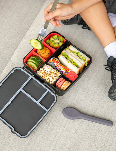 MontiiCo feast lunchbox- midnight