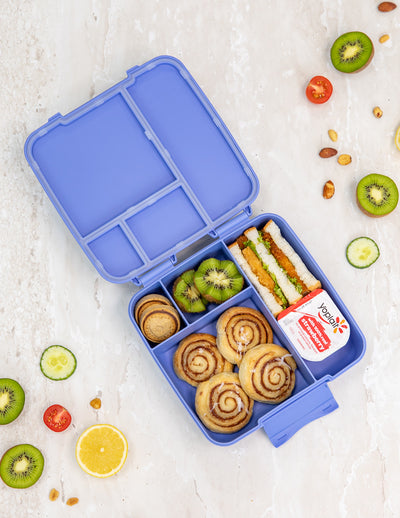 MontiiCo feast lunchbox- splash