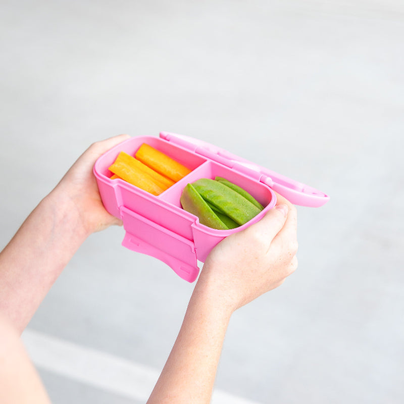 MontiiCo Snack Box- floss