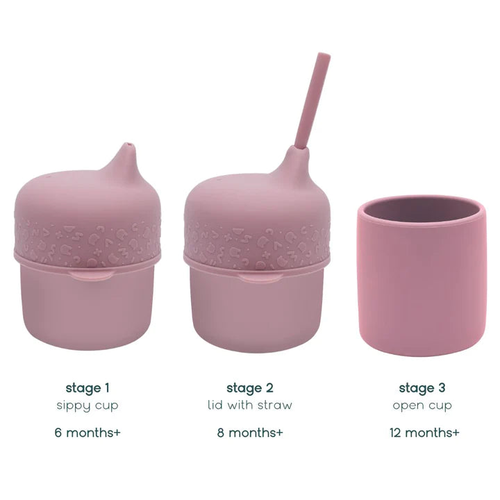 We Might Be Tiny Sippie Cup Set Dusty Rose