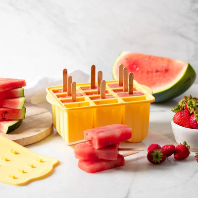 Ever Eco popsicle mould tray