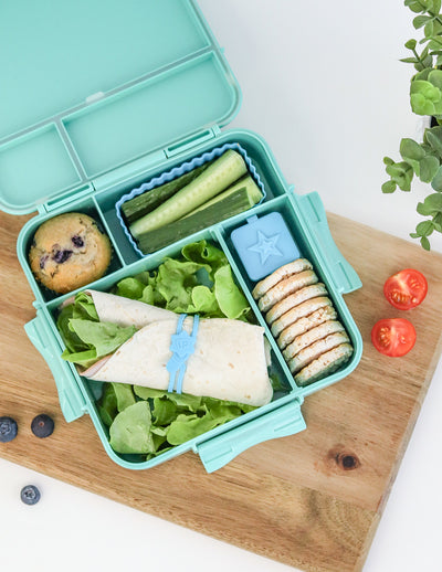 Lunch Punch Wrap Bands- burst