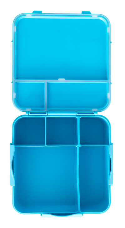 MontiiCo Bento Plus- Coastal