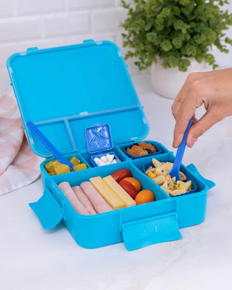 MontiiCo Bento Plus- Coastal