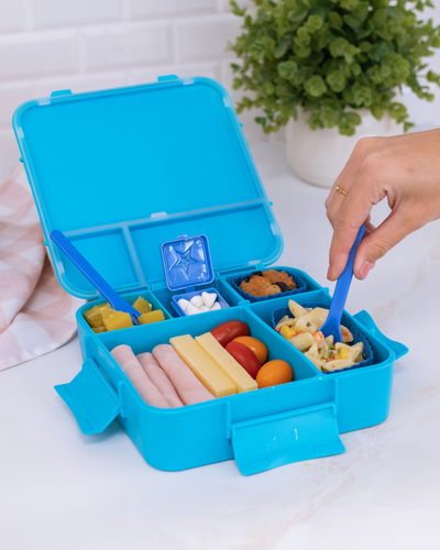 MontiiCo Bento Plus- Coastal